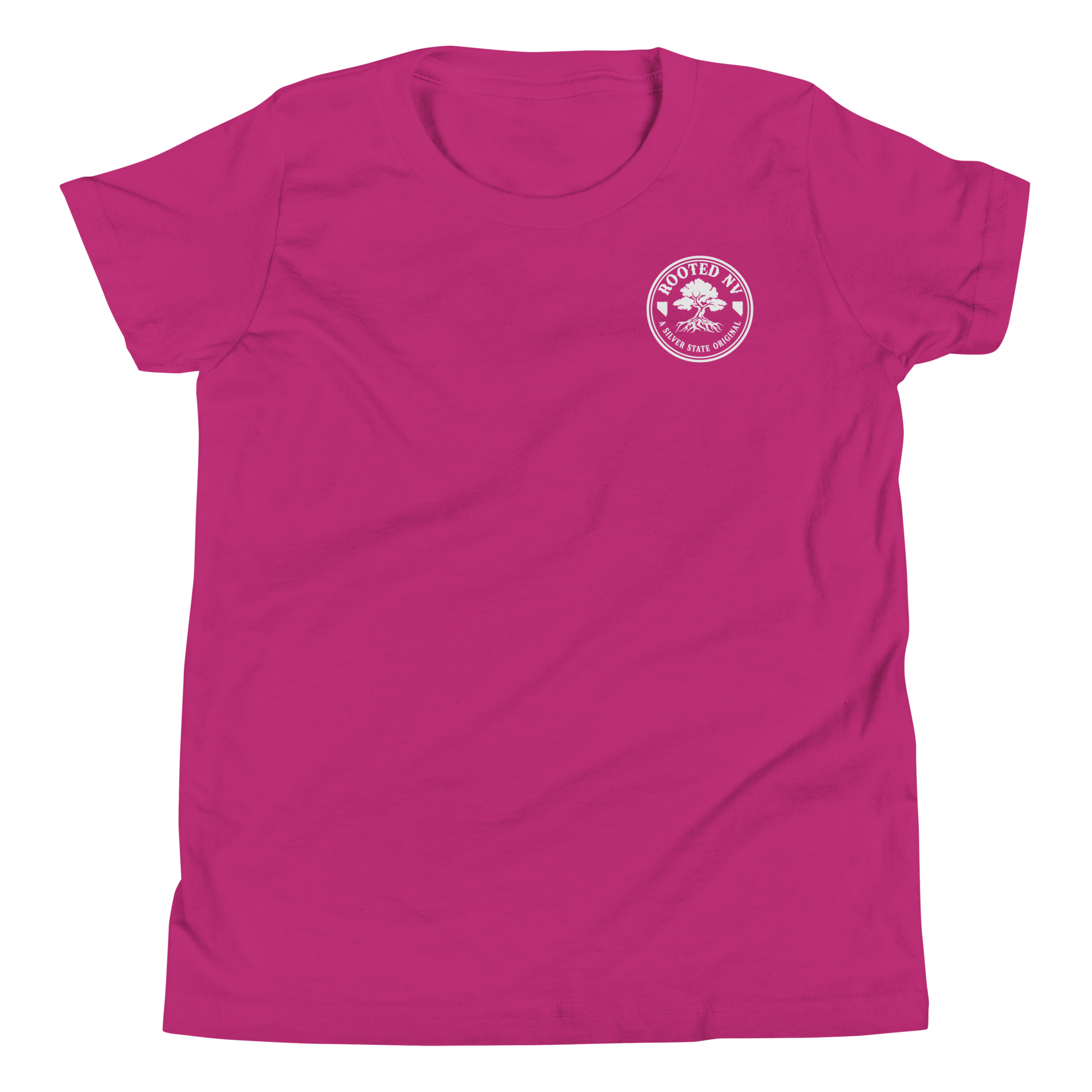 Youth Rooted NV Logo Graphic Tee - Soft Relaxed Fit, neckline and sleeve detail